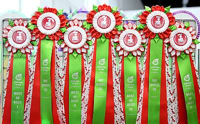 �������� ����� 23-24 ���� 0-169A8926.jpg