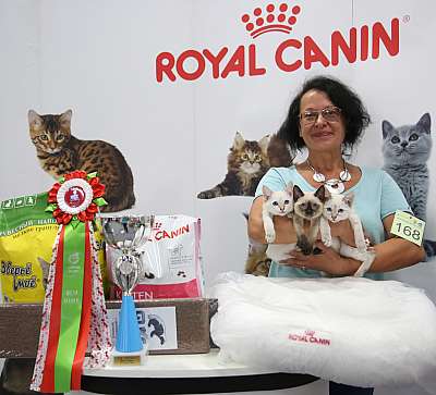 �������� ����� 23-24 ���� 13-168-169A9495.jpg