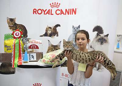 �������� ����� 23-24 ���� 15-177-169A9486.jpg