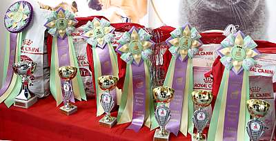 �������� ����� 23-24 ���� 2016  ������������ ��� 169A1732.jpg