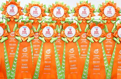 �������� ����� 23-24 ���� 2016  ������������ ��� 169A8927.jpg