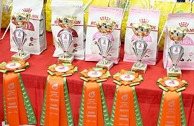 �������� ����� 23-24 ���� 2016  ������������ ��� 169A9339.jpg