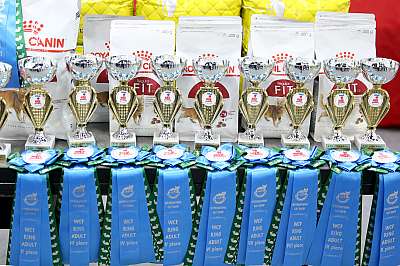 �������� ����� 23-24 ���� 2016 WCF-����� 169A9906.jpg