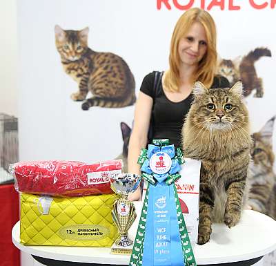 �������� ����� 23-24 ���� 2016 WCF-����� 4-69-169A0042.jpg