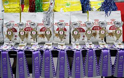 �������� ����� 23-24 ���� 2016 WCF-����� 169A1228.jpg