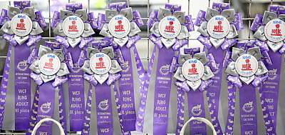 �������� ����� 23-24 ���� 2016 WCF-����� 169A8928.jpg