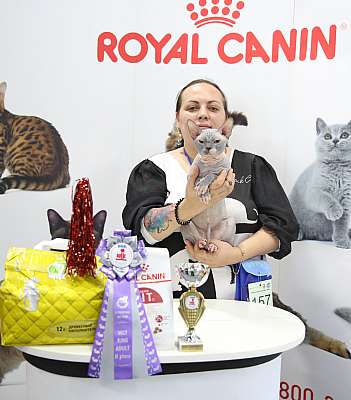 �������� ����� 23-24 ���� 2016 WCF-����� 2-157-169A1661.jpg