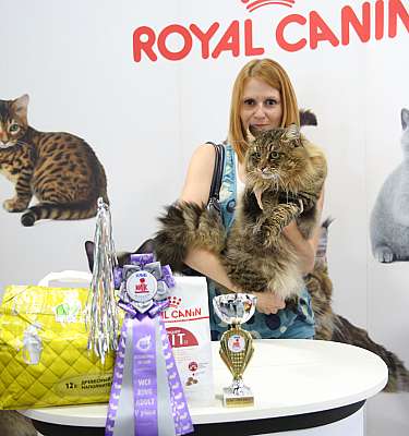 �������� ����� 23-24 ���� 2016 WCF-����� 5-69-169A1640.jpg