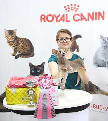 �������� ����� 23-24 ���� 2016 WCF-����� 10-171-169A9580.jpg