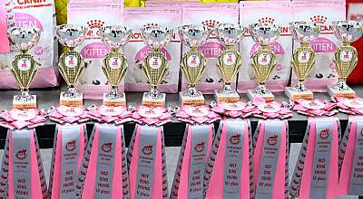 �������� ����� 23-24 ���� 2016 WCF-����� 169A8921.jpg