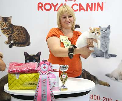 �������� ����� 23-24 ���� 2016 WCF-����� 7-152-169A9596.jpg