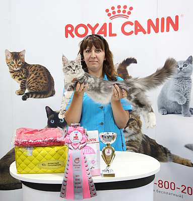 �������� ����� 23-24 ���� 2016 WCF-����� 9-55-169A9589.jpg