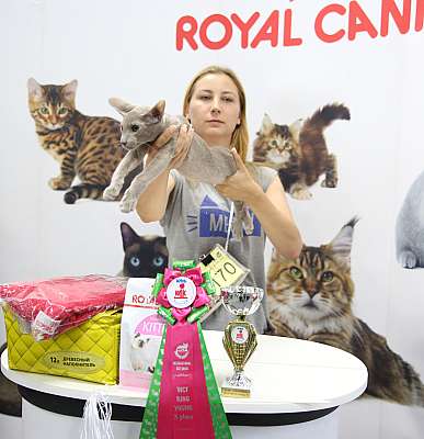 �������� ����� 23-24 ���� 2016 WCF-����� 10-170-169A9095.jpg