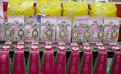 �������� ����� 23-24 ���� 2016 WCF-����� 169A1880.jpg