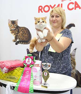 �������� ����� 23-24 ���� 2016 WCF-����� 9-151-169A9110.jpg