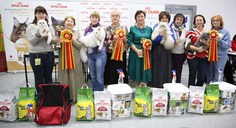 �������� �����  24-25 ��������  169A9696.jpg