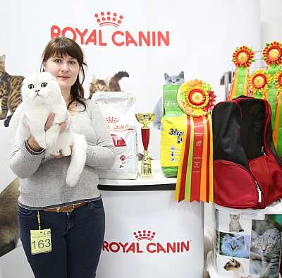 �������� �����  24-25 ��������  1-163-169A9703.jpg