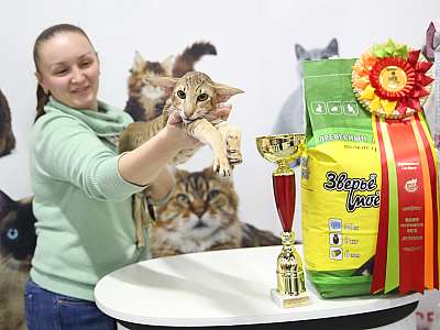 �������� �����  24-25 ��������  10-171-169A9656.jpg