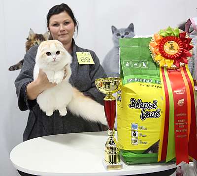 �������� �����  24-25 ��������  12-69-169A9629.jpg