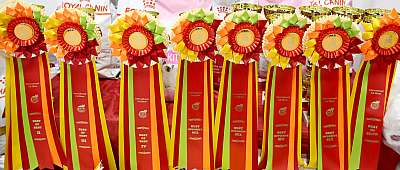 �������� �����  24-25 ��������  169A9582.jpg