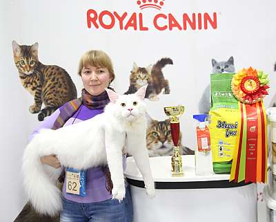 �������� �����  24-25 ��������  2-62-169A9721.jpg