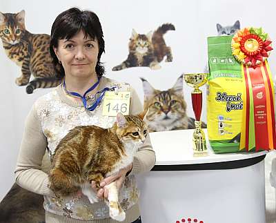 �������� �����  24-25 ��������  5-146-169A9687.jpg