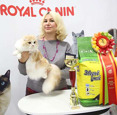 �������� �����  24-25 ��������  7-67-169A9672.jpg