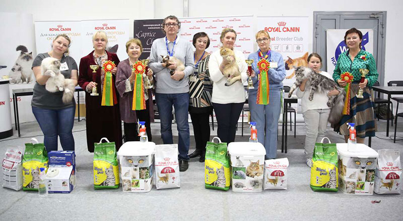 �������� �����  24-25 ��������  169A8705 (2).jpg