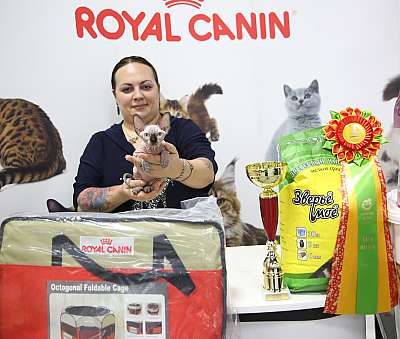 �������� �����  24-25 ��������  11-133-169A8590.jpg