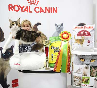 �������� �����  24-25 ��������  14-196-169A8569.jpg