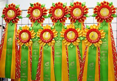 �������� �����  24-25 ��������  169A8566.jpg