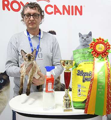 �������� �����  24-25 ��������  2-141-169A8652.jpg