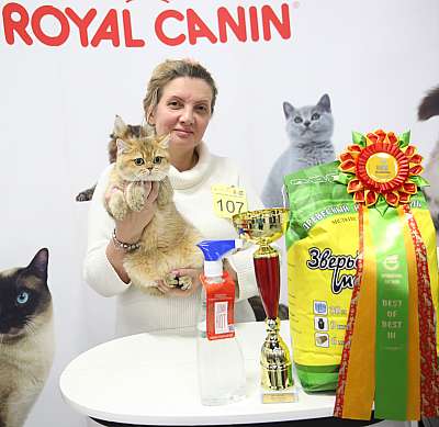 �������� �����  24-25 ��������  3-107-169A8658.jpg