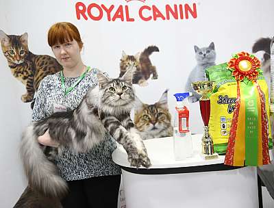 �������� �����  24-25 ��������  4-57-169A8663.jpg