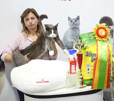 �������� �����  24-25 ��������  8-8-169A8610.jpg