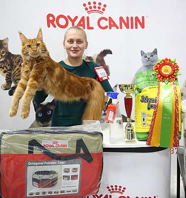 �������� �����  24-25 ��������  9-198-169A8605.jpg