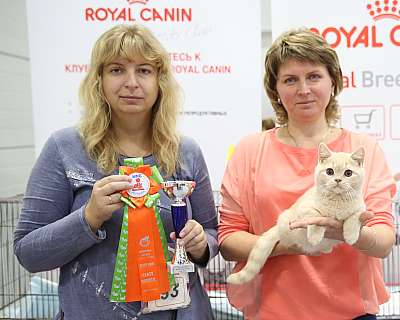 �������� �����  24-25 ��������  6-99-169A8181.jpg