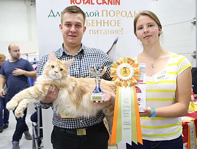 �������� �����  24-25 ��������  3-16-169A0026.jpg