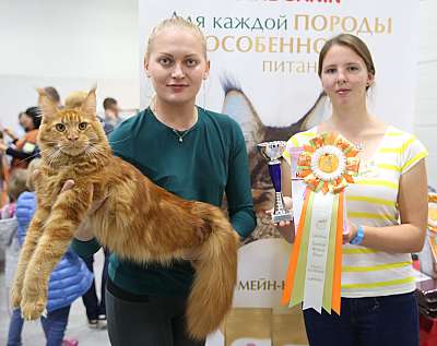 �������� �����  24-25 ��������  4-198-169A9929.jpg