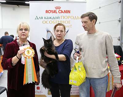 �������� �����  24-25 ��������  6-41-169A9937.jpg