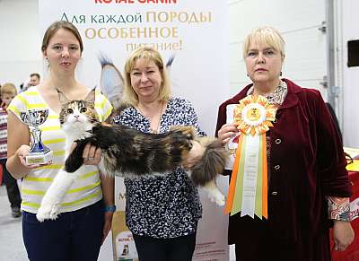 �������� �����  24-25 ��������  8-196-169A9932.jpg