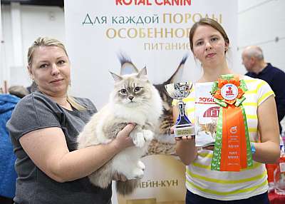 �������� �����  24-25 ��������  3-79-169A0545.jpg