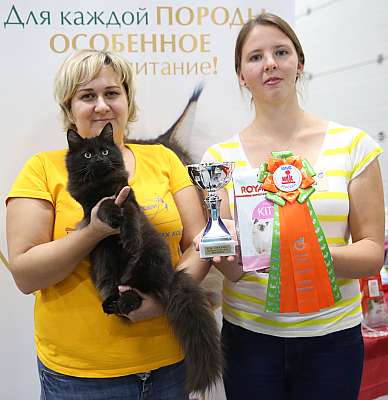 �������� �����  24-25 ��������  4-83-169A0550.jpg