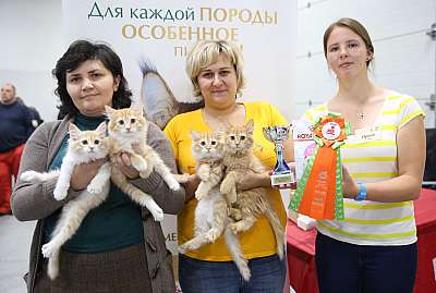 �������� �����  24-25 ��������  5-75-169A0563.jpg