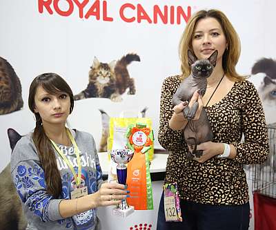 �������� �����  24-25 ��������  3-132-169A9022.jpg