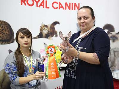 �������� �����  24-25 ��������  6-133-169A8947.jpg