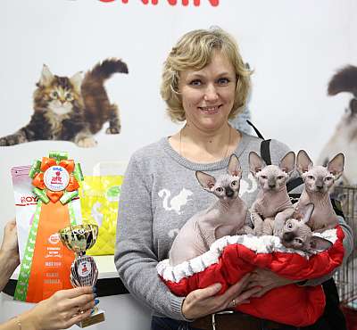 �������� �����  24-25 ��������  7-124-169A8934.jpg