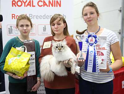 �������� �����  24-25 ��������  5-85-169A8997.jpg