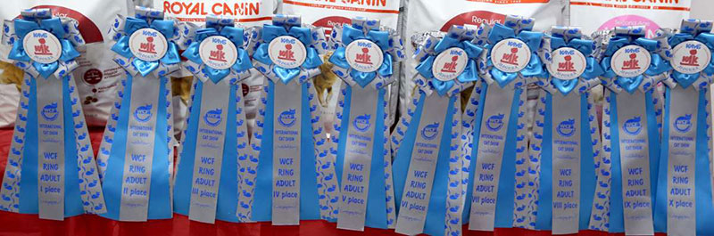 �������� �����  24-25 ��������  11-169A9992.jpg