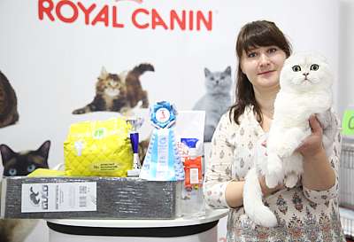 �������� �����  24-25 ��������  1-163-.jpg